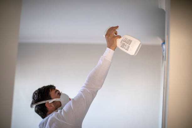 Best Best Mold Removal Companies  in Woodlake, VA