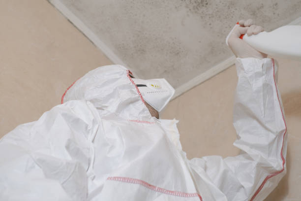 Water Damage Restoration in Woodlake, VA