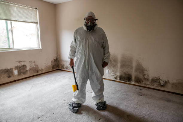 Trusted Woodlake, VA Mold Removal Experts